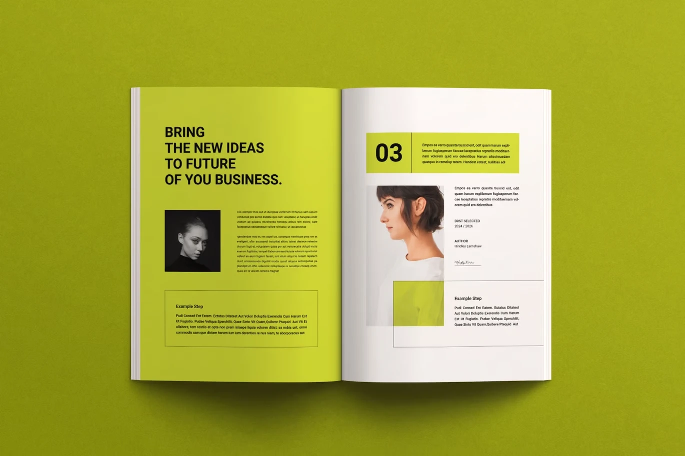 Graphic Design Portfolio Template InDesign