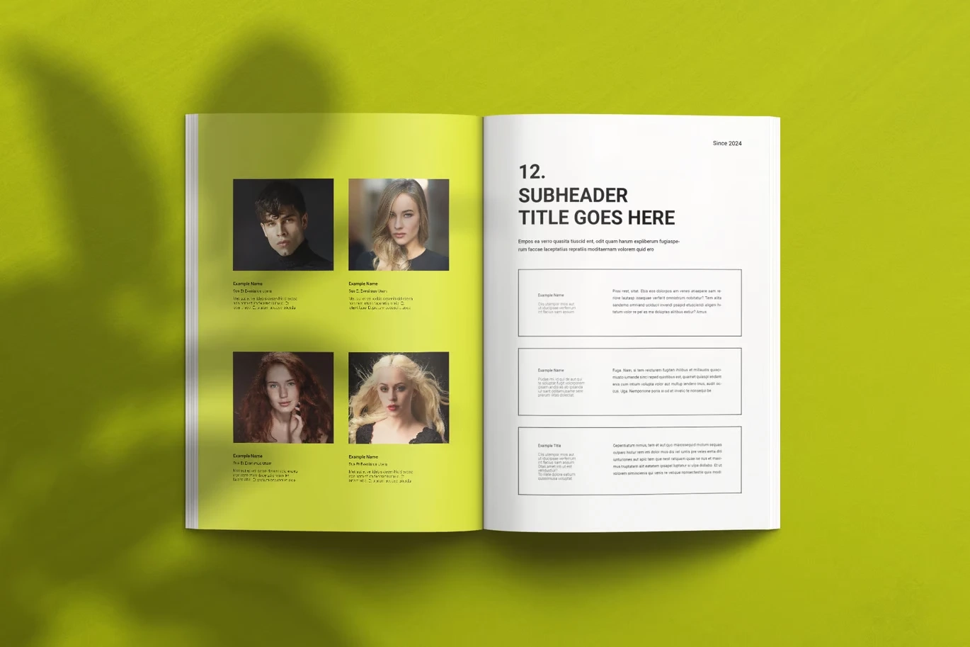 Graphic Design Portfolio Template InDesign