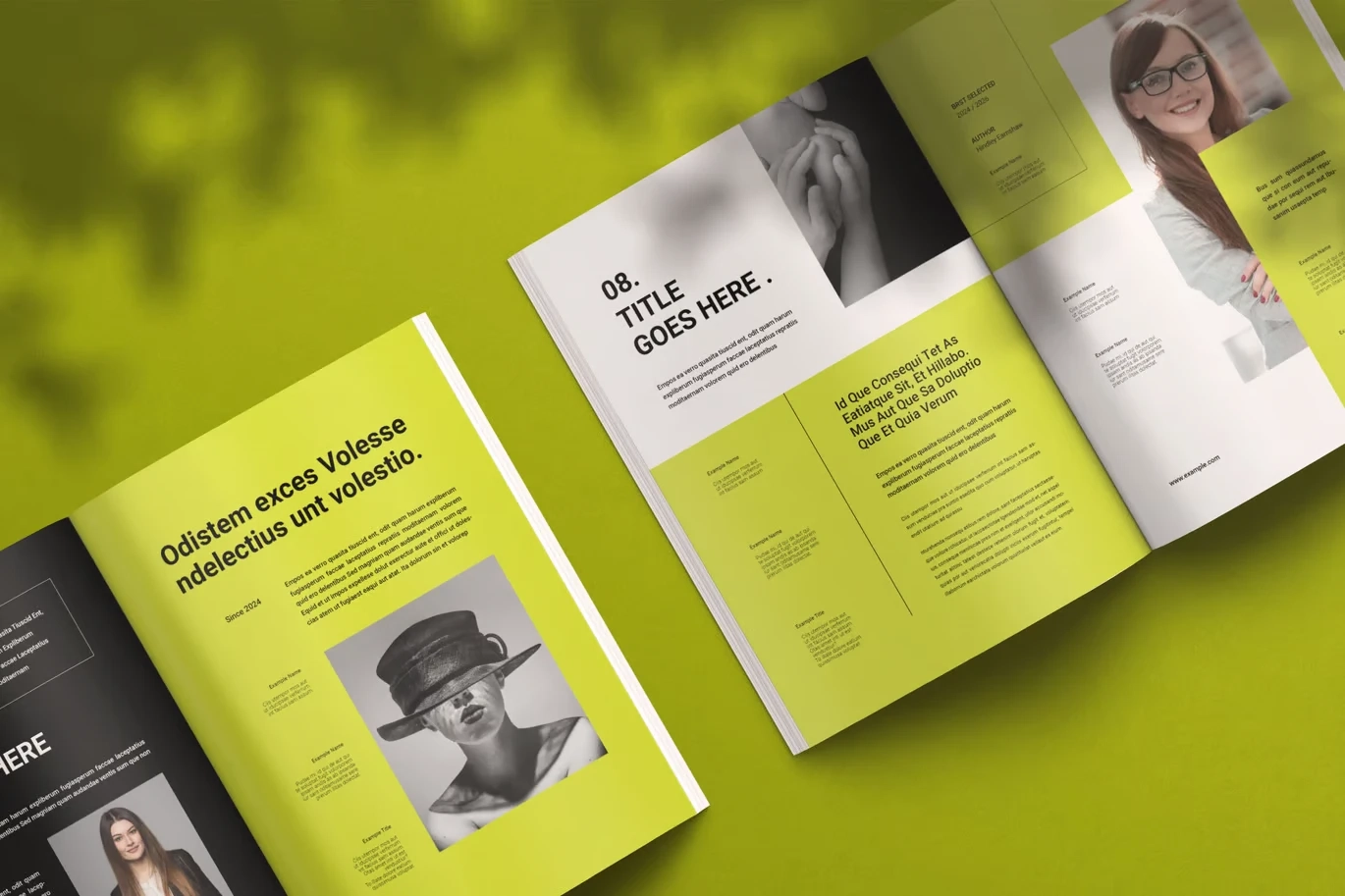 Graphic Design Portfolio Template InDesign